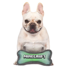 Minecraft: Bone Oxford Plush Pet Toy