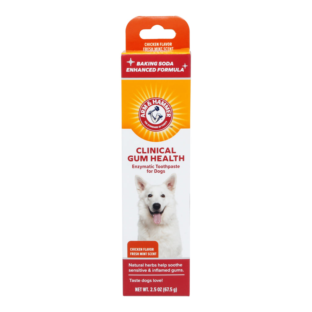 Arm Hammer Clinical Gum Health Enzymatic Toothpaste for Dogs in Chic Fetch for Pets