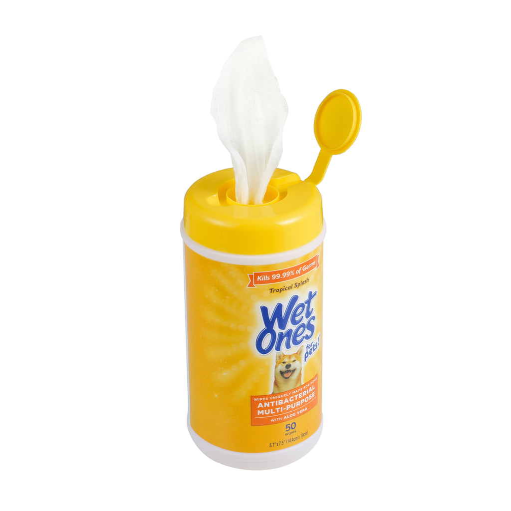Wet Ones Anti-Bacterial All Purpose Wipe for Dogs - 50 ct canister – Fetch  for Pets