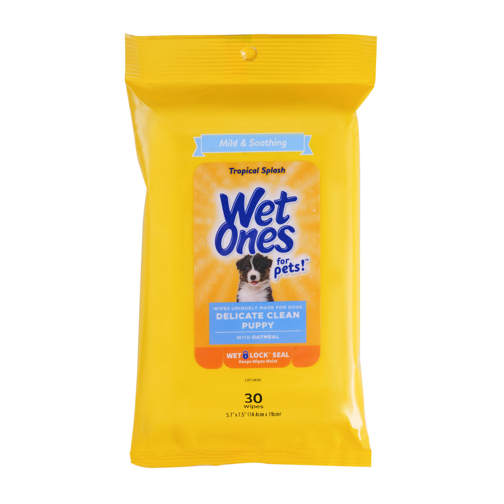 Wet Ones Gentle Puppy Wipe for Dogs - 30 ct pouch, 8 pc PDQ – Fetch for Pets