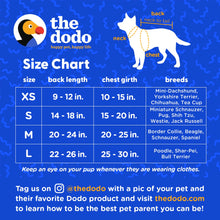 The Dodo Blue Dog Harness