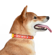 DC Comics: Super Pets PB Collar