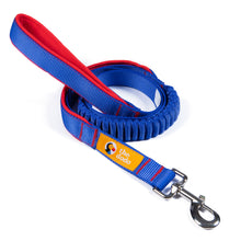 The Dodo Bungee Dog Leash 8 - 48 inches