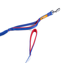 The Dodo Bungee Dog Leash 8 - 48 inches