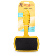 Burt’s Bees Recycled Plastics from Coastal Communities Large Slicker Brush