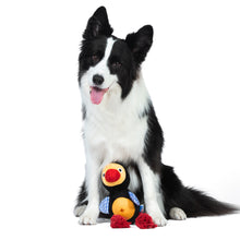 The Dodo Treat Dispensing Toy for Dogs with Rope Legs for Chewing