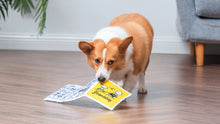 Peanuts: Flattie Crinkle Newspaper Accordion Book with Treat Finding Pockets and Squeakers