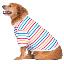 The Dodo Striped Crewneck Sweatshirt for Dog