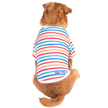 The Dodo Striped Crewneck Sweatshirt for Dog