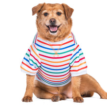 The Dodo Striped Crewneck Sweatshirt for Dog