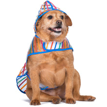 The Dodo Clear Rainy Days Striped Raincoat for Dogs