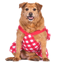 The Dodo Red Plaid Dress for Dogs