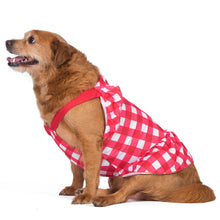 The Dodo Red Plaid Dress for Dogs