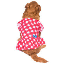 The Dodo Red Plaid Dress for Dogs