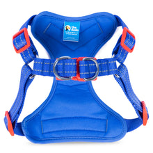 The Dodo Blue Dog Harness