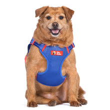 The Dodo Blue Dog Harness