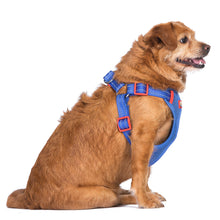 The Dodo Blue Dog Harness