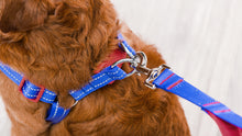 The Dodo Blue Dog Harness