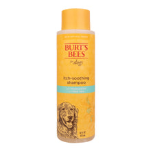 Burt's Bees Itch Soothing Shampoo with Honeysuckle