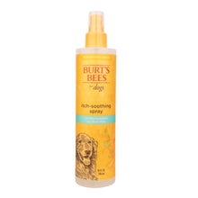 Burt's Bees Itch Soothing Spray with Honeysuckle, 10 oz