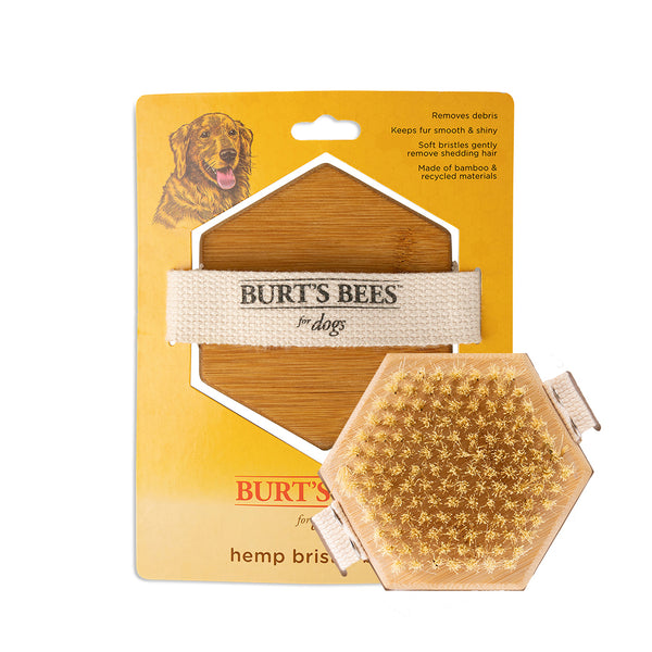 Burt's Bees Palm Bristle Brush