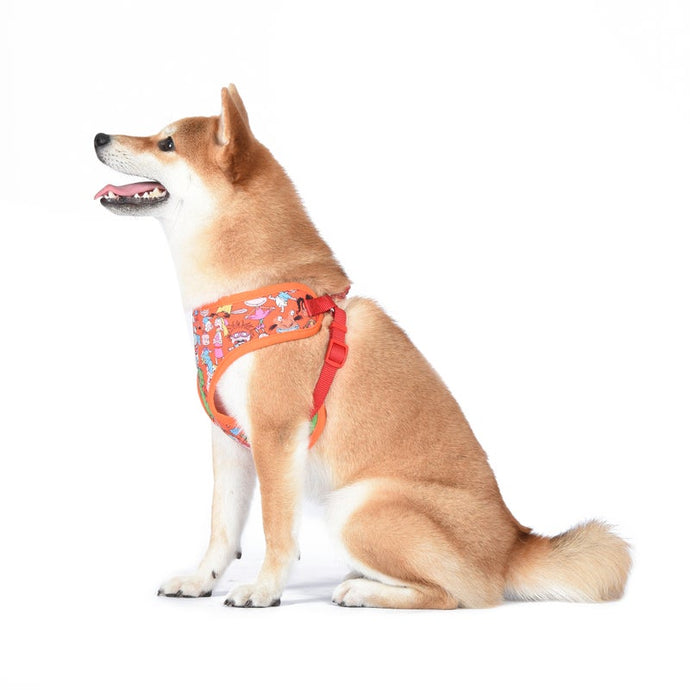 Bobs for shop dogs harness