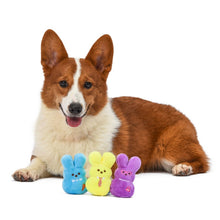 Peeps: 4" Dress-up Bunnies Plush Squeaker Pet Toy - Assorted