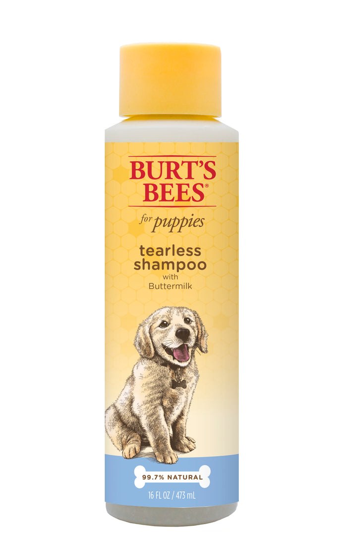 vacature weg te verspillen Dinkarville Burt's Bees Puppy Tearless Shampoo with Buttermilk, 16 oz – Fetch for Pets