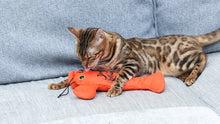 FRIENDS: 10" Lobster Kicker Cat Toy