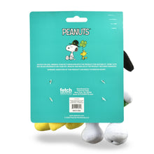 Peanuts: St Patrick's Day 6" Snoopy & Woodstock "Feeling Lucky" Squeaker Toy 2PC Set