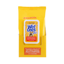 Wet Ones Anti-Bacterial All Purpose Wipe for Dogs - 100 ct pouch, 3 pc PDQ