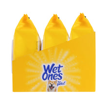 Wet Ones Deodorizing Wipe for Dogs - 100 ct pouch, 3 pc PDQ