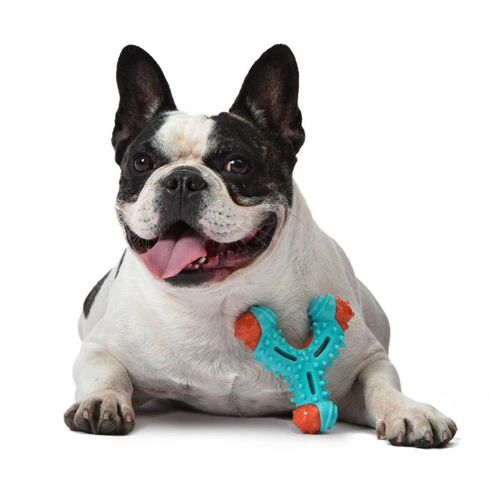 Arm & Hammer™ Nubbies Dental Dog Toy