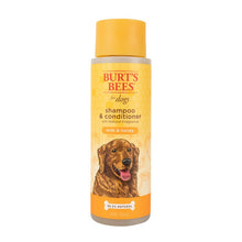 Burt's Bees Milk & Honey Shampoo & Conditioner, 12 oz