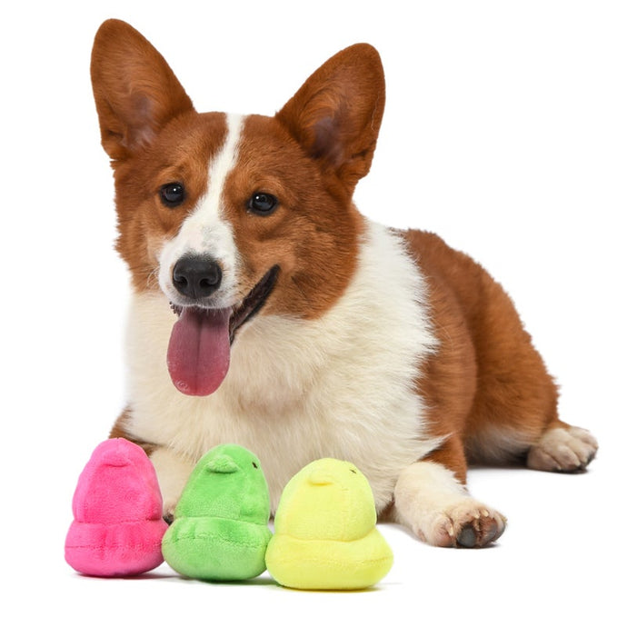Peeps: 4 Chick Plush Squeaker Pet Toy - Assorted Colors – Fetch for Pets