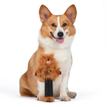 Star Wars: Chewbacca Puppy Teether Toy