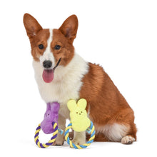 Peeps: 6" Bunny Rope Ring Pull Pet Toy - Assorted Colors