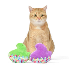 Peeps: 5" Chick Flattie Squeaker Pet Toy - Assorted